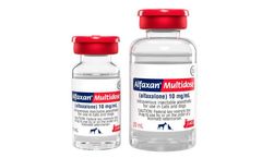 Alfaxan Multidose - Model IDX - Animal Drugs for Minor Species