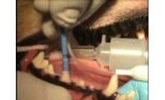 SANOS Veterinary Dental Sealant Application - Video