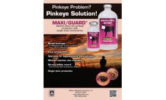 Maxi/Guard - Pinkeye Bacterin - Brochure