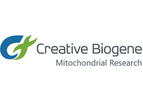 Creative Biogene - Lung-Disease-Related Mitochondria Studies