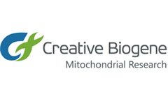 Creative Biogene - Kidney-Disease-Related Mitochondria Studies