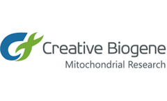 Creative Biogene - Neurodegeneration-Related Mitochondria Studies