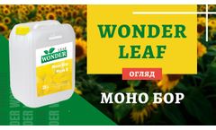 Wonder leaf Mono B - Video