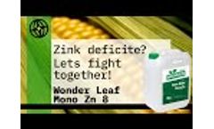 Wonder leaf Mono Zn - Video