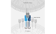 T-Cure - Receptor Therapy T Cell