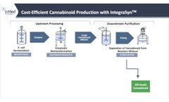 IntegraSyn - Cannabinoid Manufacturing Process - How it Works - Video