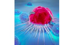 IN8Bio DeltEx - Gamma-Delta T Cells