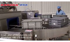 Auto Parts Transport Plastic Crate Washing Machine with Drying Unit - Video