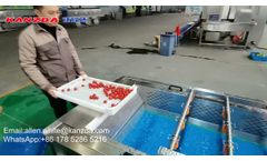 Fruit Washing Machine - Test washer with berries - Video