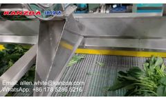 Leafy vegetable washing and drying machine - Video
