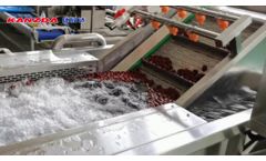 Commercial Dates Palm Washing Drying Processing Machine - Video