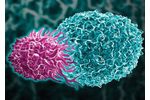 Aurora Biopharma - Innovative Cancer Immunotherapy Technolgoy