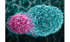 Aurora Biopharma - Innovative Cancer Immunotherapy Technolgoy