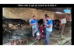 Equipment Upgrade | Trolley Milking Machine India - Video