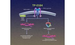 Sumitomo - Model TP-0184 - ALK2 and ALK5 Investigational  Inhibitor