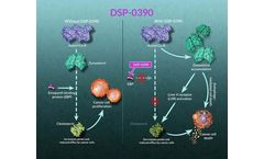 Sumitomo - Model DSP-0390 - Emopamil-Binding Protein (EBP) Inhibitor