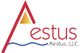 Aestus, LLC