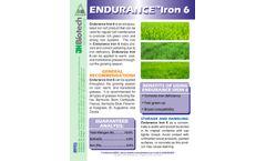 Endurance - Model Iron 6 - Encapsulated Iron Turf Product Brochure