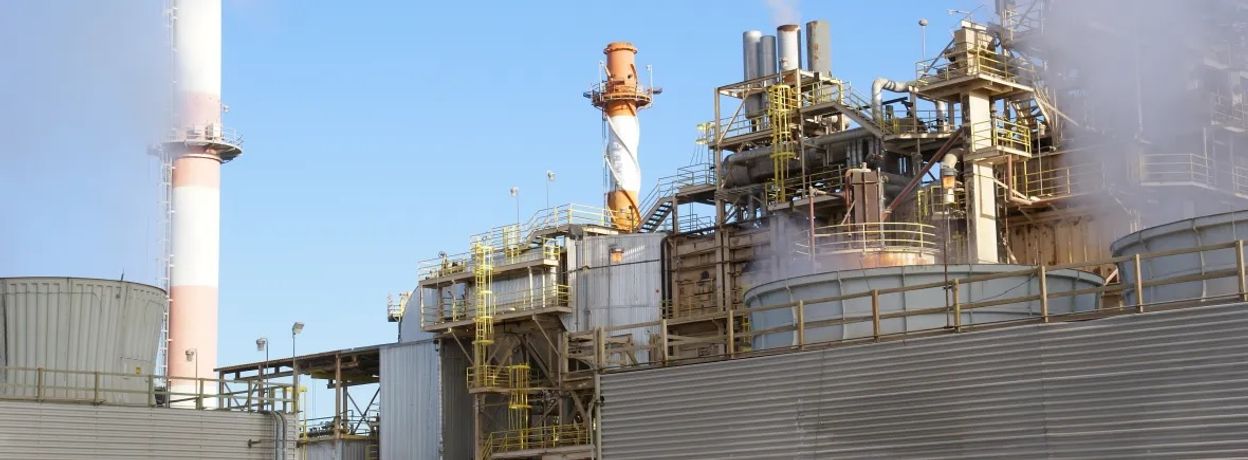 Biomass Cogeneration Services