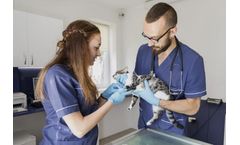 Medical Devices for Veterinarians