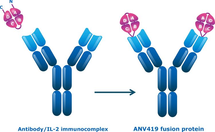 Model ANV419 - Systemic no-alpha IL-2 Immunotherapy