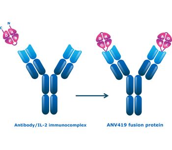 Model ANV419 - Systemic no-alpha IL-2 Immunotherapy