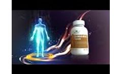Ashwagandha, a vital Ayurvedic herb with potential health benefits in the form of Capsule by Nlife - Video