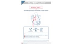 Transseptal Puncture Training - Brochure
