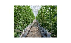 Air filtration solutions & corrosion monitors for grow houses