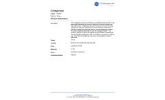 CD Bioparticles - Collagenase - Brochure