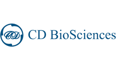CD-BioSciences - Model 14-3-3-SPA-00012 - Stratifin Antibody