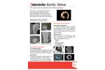 3mensio - Aortic Valve Replacement Software - Brochure