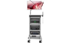 DeepEye - Model EVS200 - 3D Video Endoscopy System