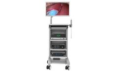 DeepEye - Model EVS100 - 2D Video Endoscopy System