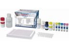 Foresight - Helicobacter pylori IgG Antibodies Test Kit