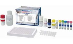 Foresight - Helicobacter pylori IgG Antibodies Test Kit