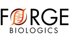Ray Therapeutics and Forge Biologics Expand Their Viral Vector cGMP Partnership to Encompass Plasmid DNA Manufacturing
