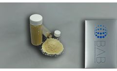 BAB - Model DBM - Demineralized Bone Matrix Powder