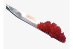 Activioss - Synthetic and Bioactive Bone Graft Substitute Granules Membrane