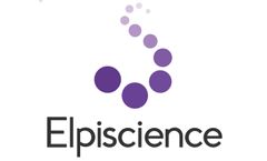 Elpiscience Announces Five Poster Presentations at Society for Immunotherapy of Cancer (SITC) 2022 Annual Meeting