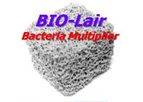 MetaMateria - Bio-Liar Bacteria Multiplies Media