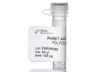 Ethos - Fractionation Purified Rabbit Anti-Mouse Albumin Polyclonal Antibody