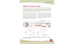 SARS-CoV-2 Proteins and Kits - Application Note