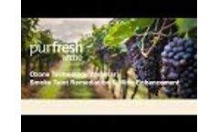 Purfresh Wine Virtual FAQ Event with CEO Christian DeBlasio - Video