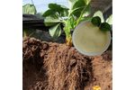 Plant Growth Enhancer Biostimulant Amino Acid Powder Fertilizer Nitrogen 14