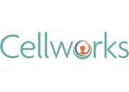 Cellworks - Personalized Therapy Biosimulation Platform