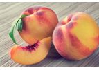 PostHarvest - Peach Nutrition Facts Course