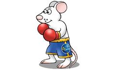 Ozgene - Knockout Mice Service