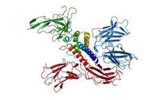 Cyrus - Novel IL-2 Autoimmunity Technology