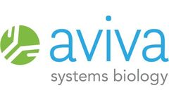 Aviva Systems Biology - Model MMP9 (OKEH00522) - ELISA Kit (Rat)